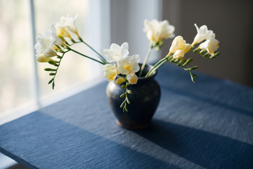 White and pale yellow freesia stems in a dark vase, the freesia note in perfume