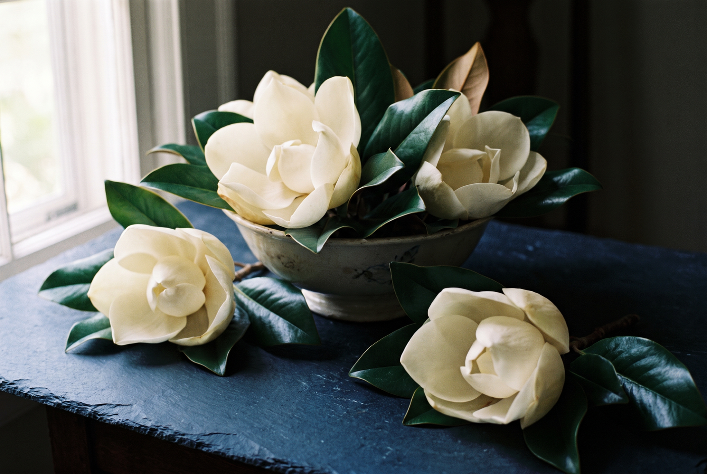 Creamy white magnolia blossoms with glossy dark leaves on deep navy stone, the magnolia note in fragrance