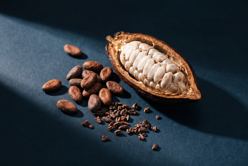 Raw cacao beans, cocoa nibs and a cracked cocoa pod on dark stone, the raw material behind the cacao note in perfume