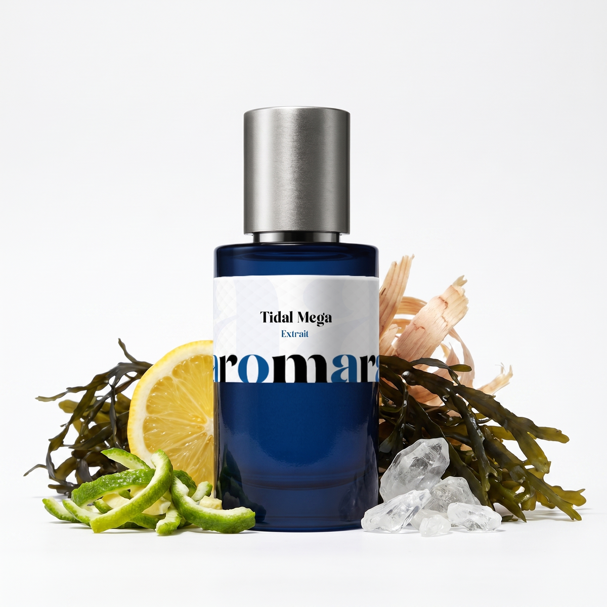 Tidal Mega 35% Extrait perfume by Aromara, inspired by Orto Parisi Megamare. Bergamot, lemon, seaweed, ambroxan, cedar. UK-made dupe, 7+ hour wear, 60-day refund.