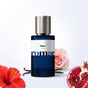 Hibisc