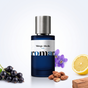 Mirage Absolu